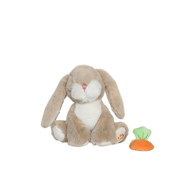 Plush rabbit toy with a small carrot-shaped toy on a white background