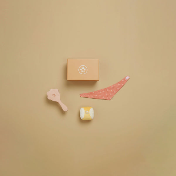 Dinkum Dog Sets - Starter Set