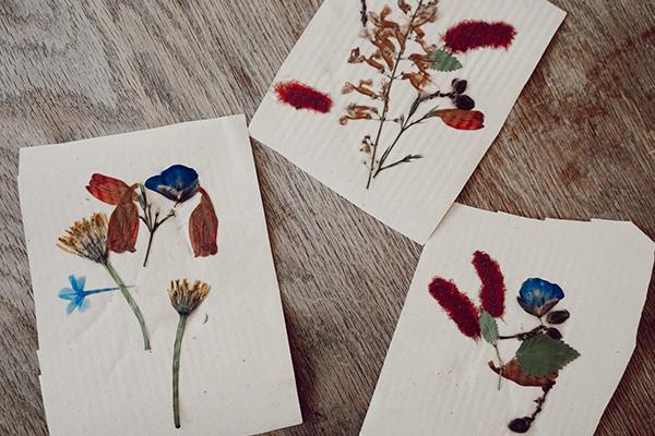 DIY | Homemade Pressed Flower Greeting Cards Olli Ella