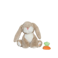 Plush rabbit toy with a small carrot-shaped toy on a white background