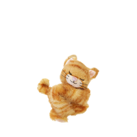 Plush toy cat on a white background