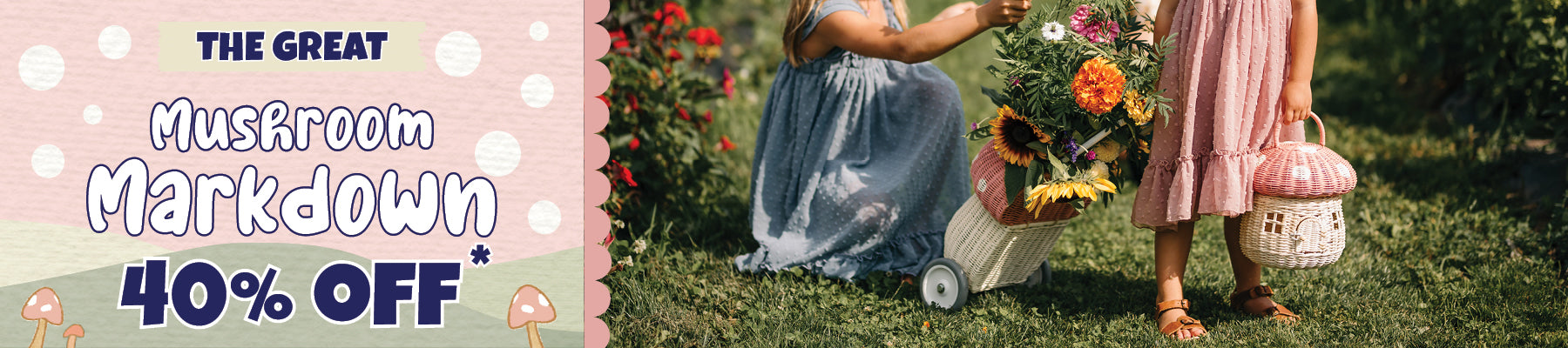 files/DESKTOP_2.jpg - Oliliella