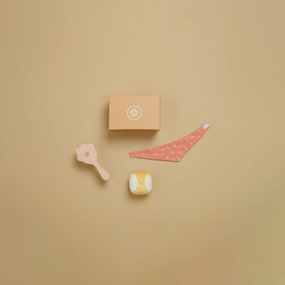 Dinkum Dog Sets - Starter Set