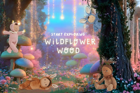 Fantasy forest scene with colorful mushrooms and creatures, featuring the text 'Start exploring Wildflower Wood'. Olli Ella Au