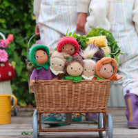 Meet Ellis Eggplant, a delightful Dinky Dinkum plush doll from the Happy Harvest collection, featuring a posable body with gentle weighting and a soft velvet onesie. Collect all the friends and let your childs imagination run wild with imaginative play.