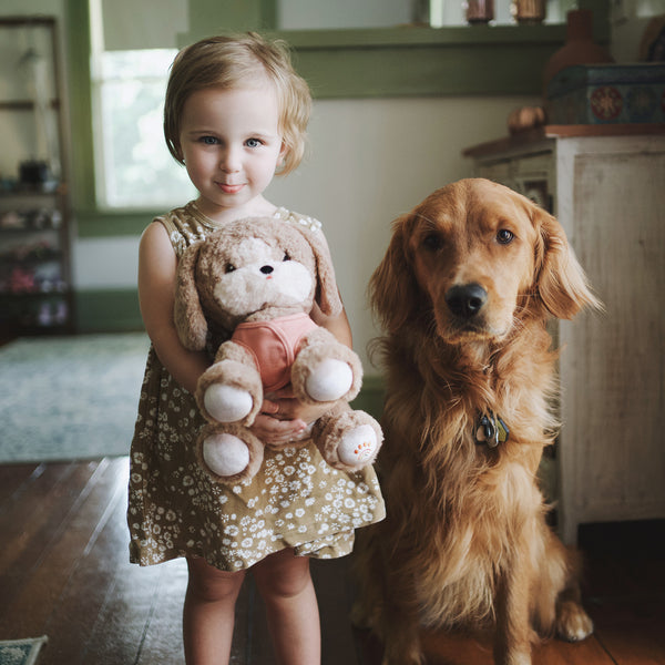 Plush dog toy with super soft fabric and velvety ears. Perfect for kids play and snuggles.